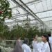 Beijing hosts delegation of schoolgirls from Balochistan, Pakistan