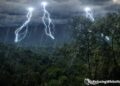 Rain-wind with thundershowers expected across the country in next 24 hours