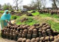 Chief Minister Punjab Maryam Nawaz launches “Shandar Suthra Punjab – Waste to Value” Project
