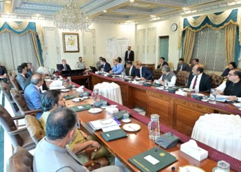 PM Shehbaz Terms FBR Reforms a Positive Step, Urges Timely Completion
