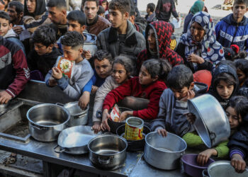 Silent catastrophe: Gaza doctors warn of mass starvation for infants