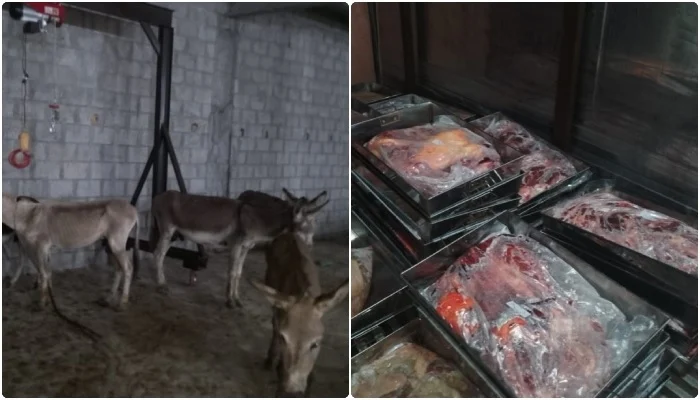 IFA Seizes One Tonne of Donkey Meat Near Islamabad; Suspected Export Operation Uncovered