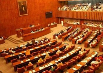 Senate Committee Reviews Progress on Government Promises Across Key Sectors