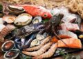 Pakistan’s seafood exports to Vietnam rise 20%, reaching $9 million