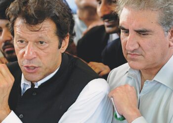 Too Early to Say Qureshi Will Lead PTI Amid Ongoing Cases: Suleman Akram Raja