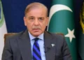 PM expresses sorrow over wildfires in Türkiye’s Izmir province
