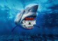 Discovery’s ‘Shark Week’ Begins with Underwater Dance Spectacle
