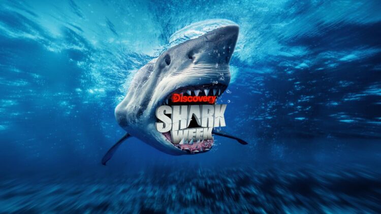 Discovery’s ‘Shark Week’ Begins with Underwater Dance Spectacle