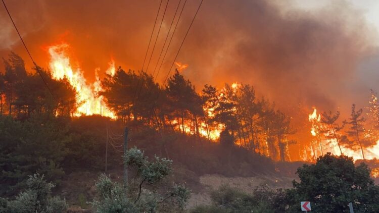 Over 50,000 people evacuated as Türkiye battles widespread forest fires