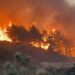 Over 50,000 people evacuated as Türkiye battles widespread forest fires