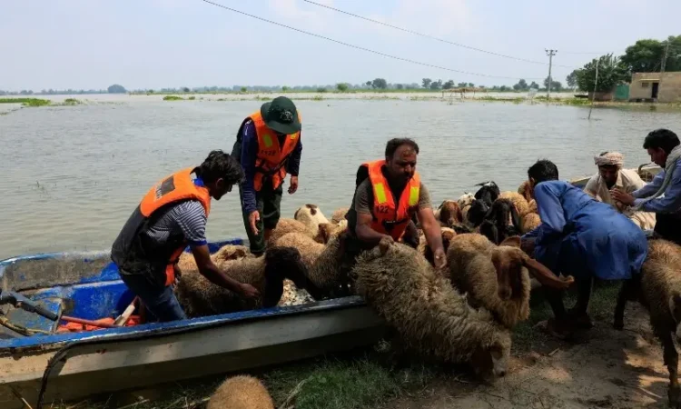 Flood Evacuations in Punjab Amid Rising Rivers, Pakistan Raises Alarm Over India’s Water Releases