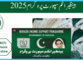 PAC Urges Action Against Officials Misusing BISP Funds
