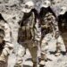 US Adds BLA and Majeed Brigade to Foreign Terrorist Organisation List