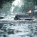 PMD Forecasts Intensified Monsoon Rains Across Pakistan; Flash Flood Death Toll Reaches 312