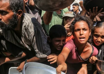 Global Outcry as UN-Backed Report Declares Famine in Gaza