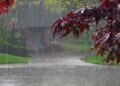 Fresh Monsoon Spell to Hit Pakistan from Aug 4 as Flood Threat Deepens
