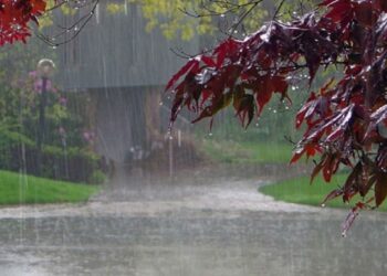 Fresh Monsoon Spell to Hit Pakistan from Aug 4 as Flood Threat Deepens