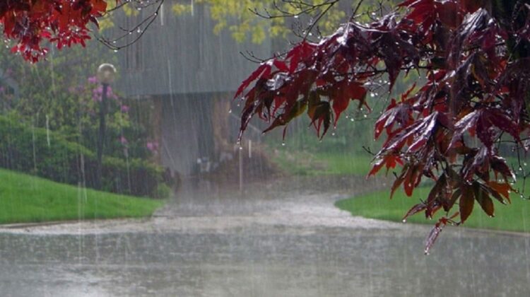 Fresh Monsoon Spell to Hit Pakistan from Aug 4 as Flood Threat Deepens