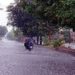 Monsoon Likely to Extend Until End of September Amid Climate Shifts; PDMA Issues Flood Alert for Punjab