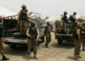 Seven Martyred in Separate Attacks in Karak and Peshawar Amid Rising Terror Threats