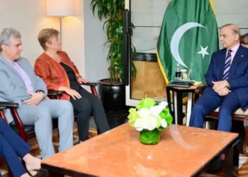 Pakistan on track to meet IMF targets, PM Shehbaz urges inclusion of flood losses in review