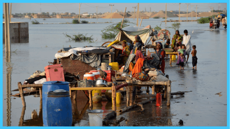 Updated Flood Report: Rising Waters, Widespread Damage, and Relief Efforts Across Pakistan
