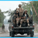 Seven terrorists, including three Afghan nationals, eliminated in Dera Ismail Khan operation: ISPR