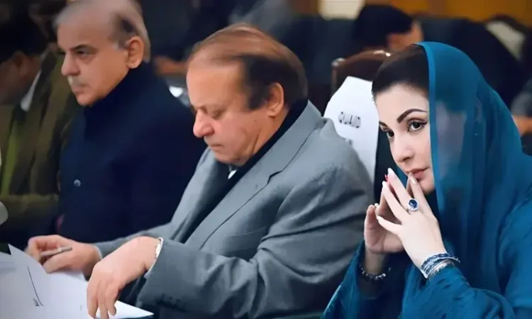 PML-N Leadership Decides on Ceasefire with PPP to Ease Political Tensions