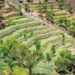 Green Climate Fund approves $250 million for ‘Glaciers to Farms’ climate adaptation plan