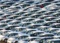 IMF–Pakistan Consensus: Car Import Schemes Abolished Amid Governance Reforms Debate