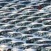 IMF–Pakistan Consensus: Car Import Schemes Abolished Amid Governance Reforms Debate