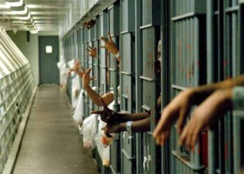 20 TLP Activists Re-Arrested Outside Adiala Jail Under MPO Orders