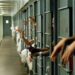 20 TLP Activists Re-Arrested Outside Adiala Jail Under MPO Orders