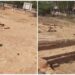 16th-Century Caravanserai Unearthed in Harappa, Revealing Historic Travel and Postal Network