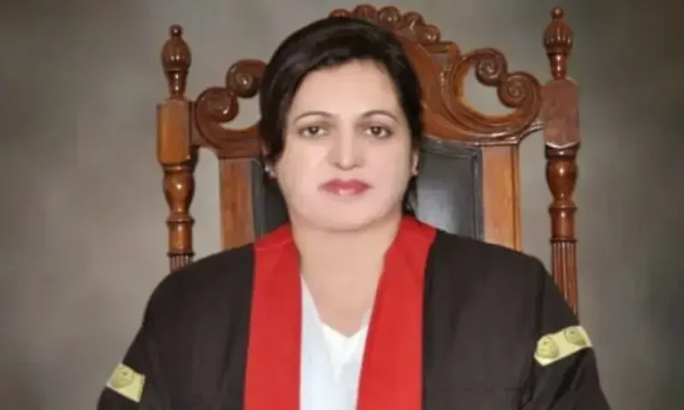LHC Suspends Punjab Property Ordinance Granting DCs Authority Over Land Disputes