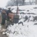 Tirah Valley Operation Destroys Poppy Crop, Risk of No Cultivation Next Year