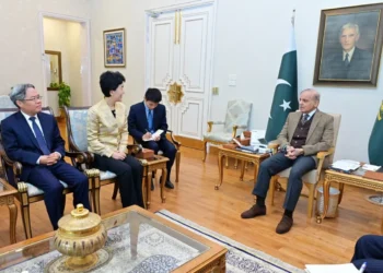 Chinese CPC Vice Minister Calls on Prime Minister, Reaffirms Strategic Partnership