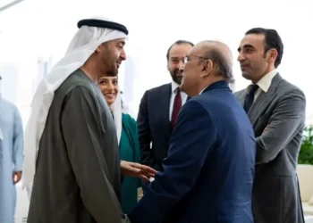 President Zardari, UAE Counterpart Hold Talks to Deepen Bilateral Cooperation