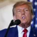 UAE, Bahrain and Belarus Join Trump’s Proposed Board of Peace