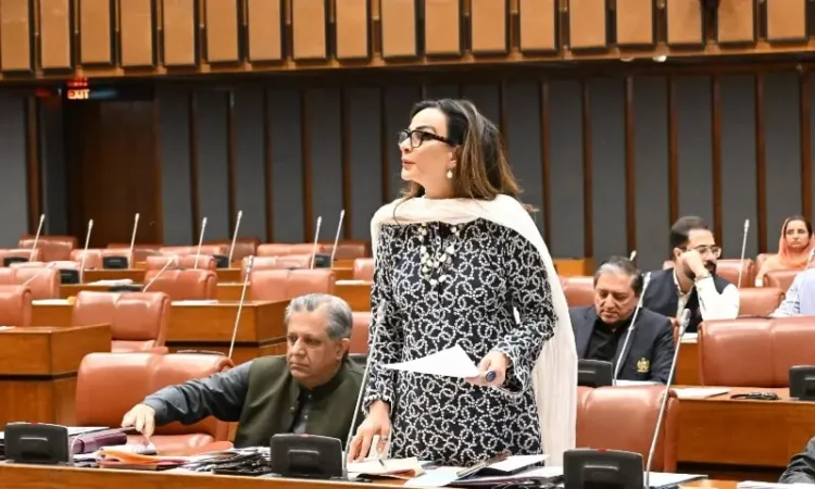 Senate Unanimously Condemns Afghan Taliban Aggression, Demands End to Cross-Border Hostilities