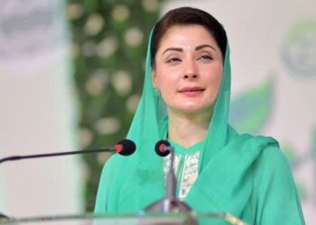 CM Praises Lahorites for Observing Safety Rules During Basant, Extends Festivities