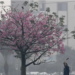 Pakistan ranked most polluted country in 2025, data shows