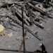 US war in Iran has cost $25 billion so far, says Pentagon official