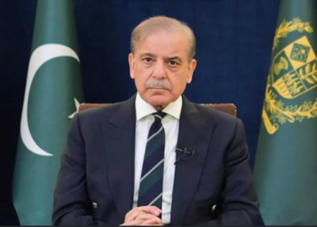 PM Shehbaz Sharif Condemns Drone, Missile Strikes in UAE