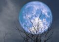 Rare Blue Moon and Micromoon Observed in the Sky