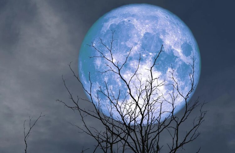 Rare Blue Moon and Micromoon Observed in the Sky