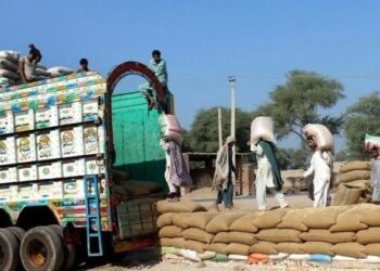 Rawalpindi Police Foil Five Flour Smuggling Attempts, Seize 131 Tonnes Bound for KP