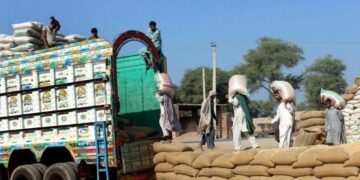 Rawalpindi Police Foil Five Flour Smuggling Attempts, Seize 131 Tonnes Bound for KP