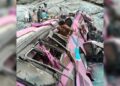 40 Killed as Passenger Bus Plunges into Ravine Near Balochistan-KP Border