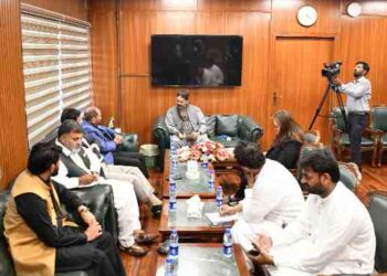 Rana Qasim Noon, Dr Farooq Sattar Call for National Consensus to Highlight Kashmir Cause